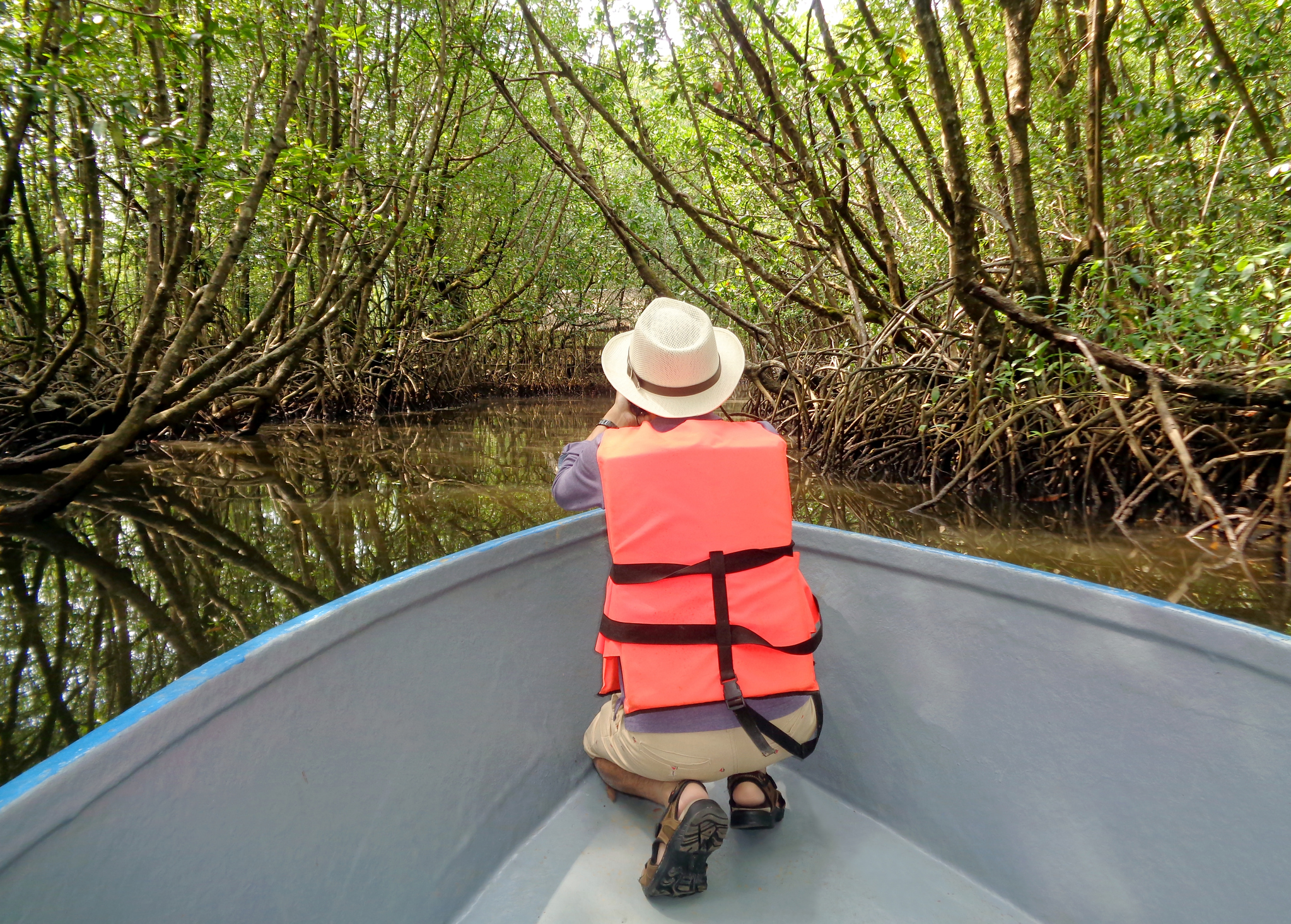 Protecting Natural Ecosystems